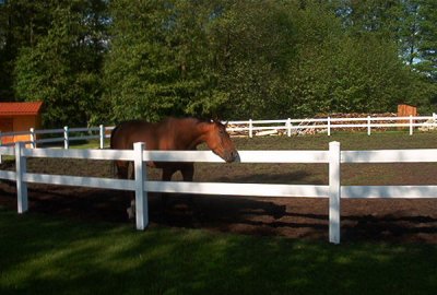 plastikowe ogrodzenia do stadnin dla koni